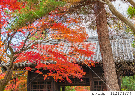 輪王寺 晩秋 輪王寺 晩秋 112171874