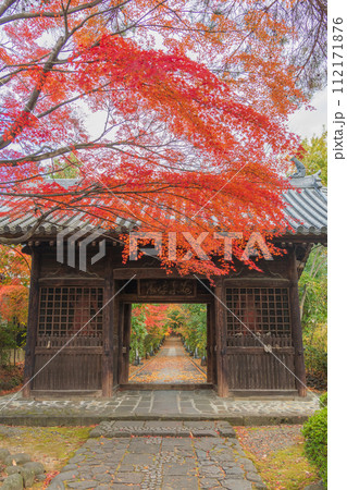 輪王寺　晩秋 112171876