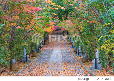 輪王寺 晩秋 輪王寺 晩秋 112171881