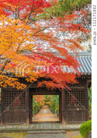 輪王寺　晩秋 112171882