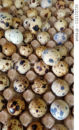 quail eggs at market 112172720