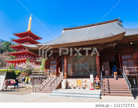 東京 高幡不動尊 不動堂と五重塔 東京 高幡不動尊 不動堂と五重塔 112172733