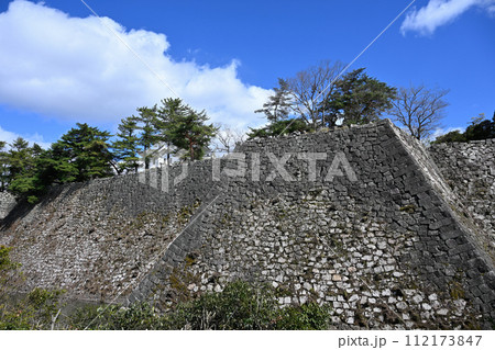 伊賀上野城 伊賀上野城 112173847