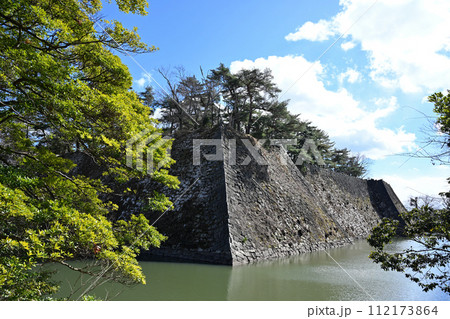 伊賀上野城 112173864