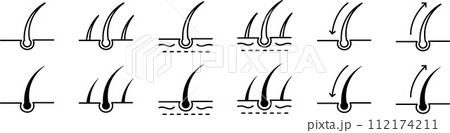 体毛に関するアイコンセット 112174211