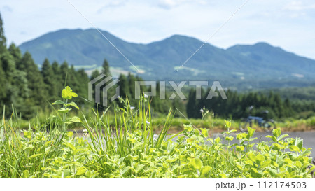 新緑・初夏のサイクリングイメージ (蒜山高原) 新緑・初夏のサイクリングイメージ (蒜山高原) 112174503