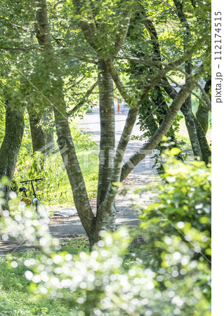 新緑・初夏のサイクリングイメージ　（蒜山高原） 112174515