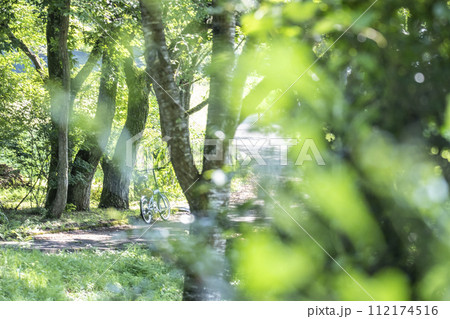 新緑・初夏のサイクリングイメージ (蒜山高原) 新緑・初夏のサイクリングイメージ (蒜山高原) 112174516