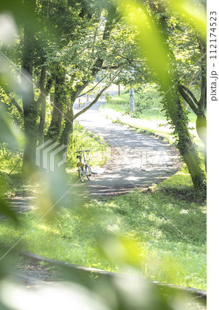 新緑・初夏のサイクリングイメージ　（蒜山高原） 112174523