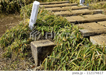 丹沢山地　一等三角点の丹沢山 112174617