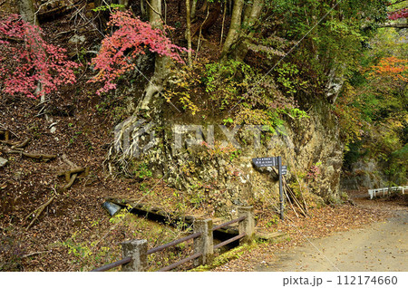 秋の丹沢 丹沢山の本谷林道出合 秋の丹沢 丹沢山の本谷林道出合 112174660