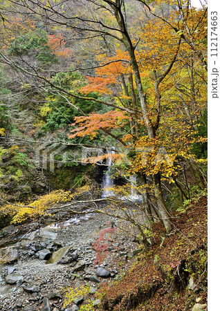紅葉の丹沢山地 丹沢山の本谷川 紅葉の丹沢山地 丹沢山の本谷川 112174663