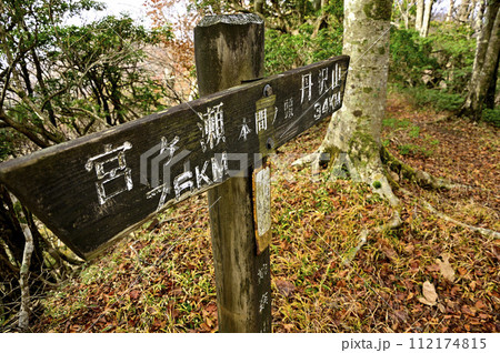 丹沢山地の本間ノ頭山頂 112174815