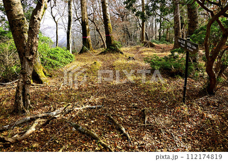 秋の丹沢山地　無名ノ頭の山頂 112174819
