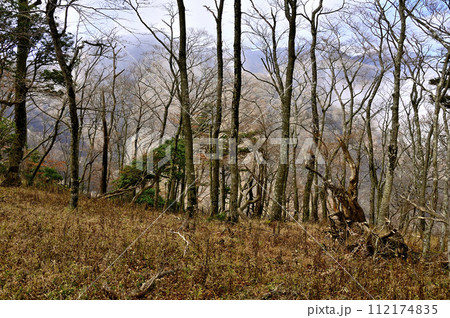 丹沢山地の瀬戸沢ノ頭より 晴れ行く丹沢主脈を望む 丹沢山地の瀬戸沢ノ頭より 晴れ行く丹沢主脈を望む 112174835