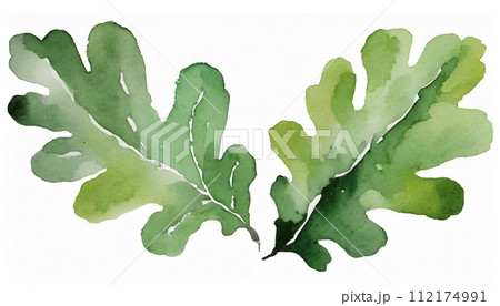 かしわの葉 柏葉 かしわ餅 「Generative AI」 かしわの葉 柏葉 かしわ餅 「Generative AI」 112174991