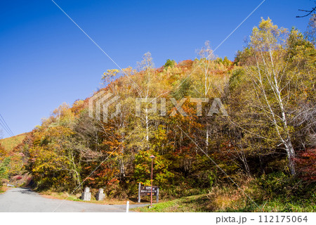 長野県道39号奈川野麦高根線・野麦峠オートキャンプ場入口の紅葉 112175064