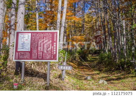 《野麦街道の紅葉》旧野麦街道入口・ワサビ沢周辺 《野麦街道の紅葉》旧野麦街道入口・ワサビ沢周辺 112175075
