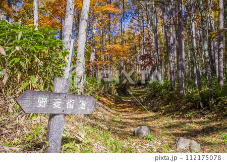 《野麦街道の紅葉》旧野麦街道入口・ワサビ沢周辺 112175078