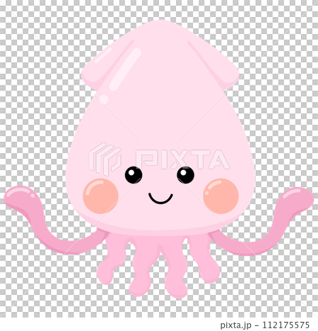 Squid Squid 112175575