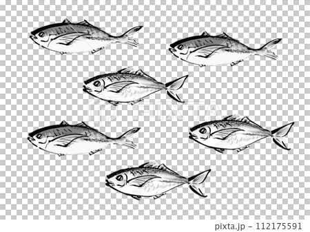 魚（鯵）のたくさんで泳ぐ和風手書きイラスト 112175591