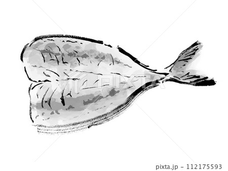 魚の開き(鯵)の和風手書きイラスト 魚の開き(鯵)の和風手書きイラスト 112175593
