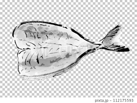 魚の開き(鯵)の和風手書きイラスト 魚の開き(鯵)の和風手書きイラスト 112175593