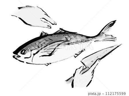魚(鯵)を捌いている和風手書きイラスト 魚(鯵)を捌いている和風手書きイラスト 112175599