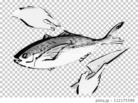 魚(鯵)を捌いている和風手書きイラスト 魚(鯵)を捌いている和風手書きイラスト 112175599