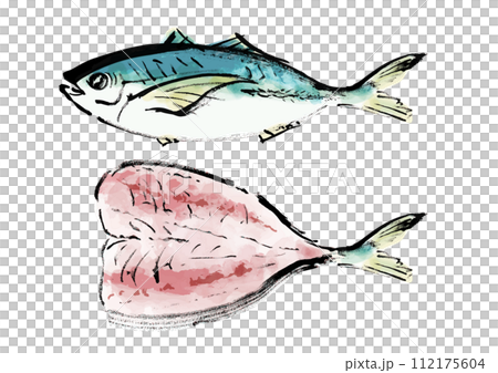 Japanese-style hand-drawn illustration of a whole fish (horse mackerel) 112175604
