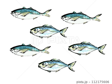 魚（鯵）のたくさんで泳ぐ和風手書きイラスト 112175606