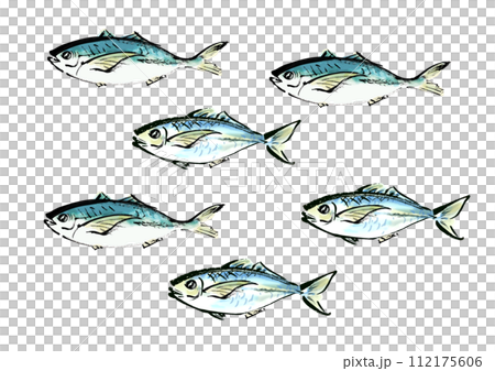 魚（鯵）のたくさんで泳ぐ和風手書きイラスト 112175606