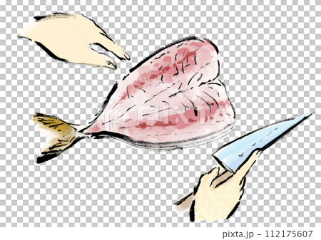 正在處理的魚（鯖魚）的日式手寫插圖 112175607