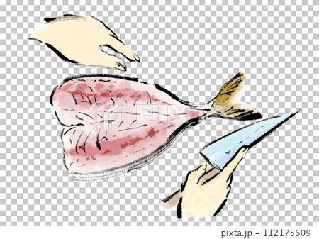 魚（鯵）を捌いている和風手書きイラスト 112175609