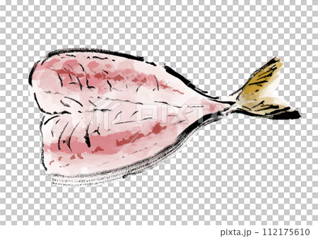 魚の開き（鯵）の和風手書きイラスト 112175610