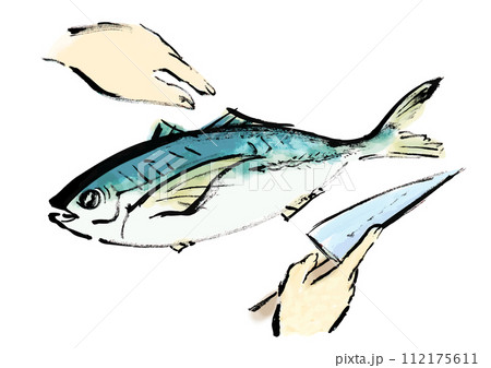 魚(鯵)を捌いている和風手書きイラスト 魚(鯵)を捌いている和風手書きイラスト 112175611
