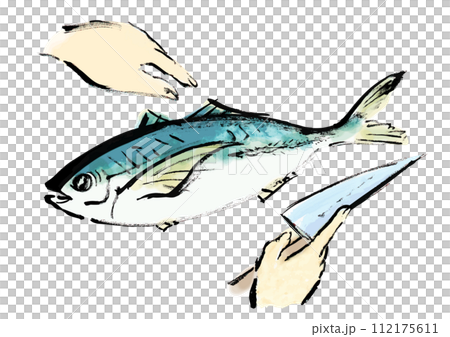 正在處理的魚(鯖魚)的日式手寫插圖 正在處理的魚(鯖魚)的日式手寫插圖 112175611