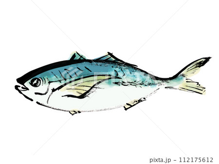 魚（鯵）の和風手書きイラスト 112175612