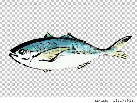 魚（鯵）の和風手書きイラスト 112175612