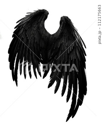 AI-generated content. Symmetrical Black Bird Wings Isolated on White AI-generated content. Symmetrical Black Bird Wings Isolated on White 112175663