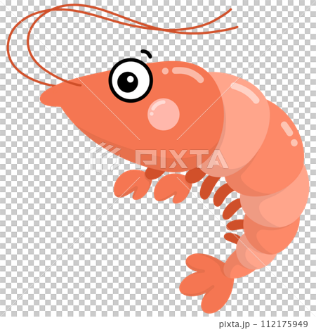 Shrimp  112175949