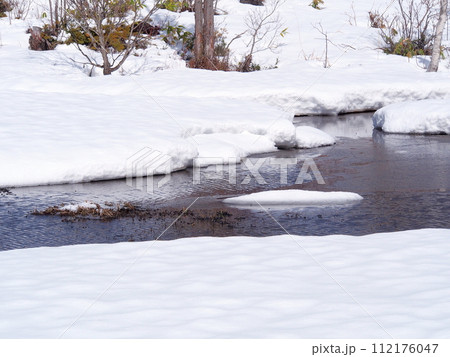 雪解け間近の、早春の雪原を流れる小川の水辺 112176047