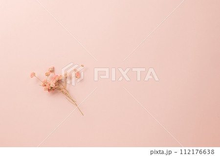 Beautiful spring flowers on paper card pastel pink background, Small wedding flower from above, Mother's Day, Valentine's Day, summer concept Beautiful spring flowers on paper card pastel pink background, Small wedding flower from above, Mother's Day, Valentine's Day, summer concept 112176638