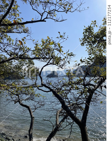 三田浜の木の上からの景色 112177254