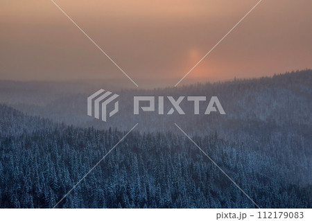 sun in a snowy frosty haze over a coniferous forest 112179083