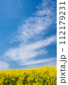 青空と菜の花 112179231