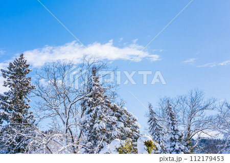 雪が積もった樹木と青空 雪が積もった樹木と青空 112179453