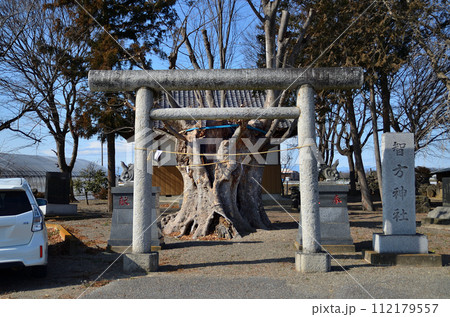 埼玉県本庄市小島の智方神社 埼玉県本庄市小島の智方神社 112179557