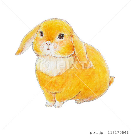 オルゴナイト垂れ耳うさぎ　暖かオレンジ♡ 垂れ耳💛ロップイヤーラビット（ブロークンオレンジ）男の子