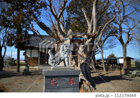 埼玉県本庄市小島の智方神社 112179866